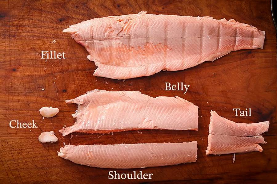 How to fillet a trout